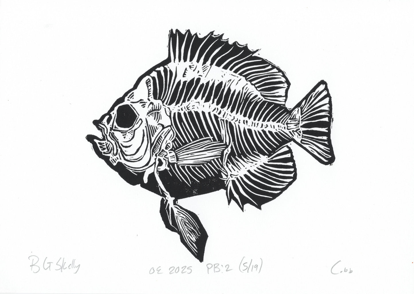 Blue Gill Skeleton Linoleum Print