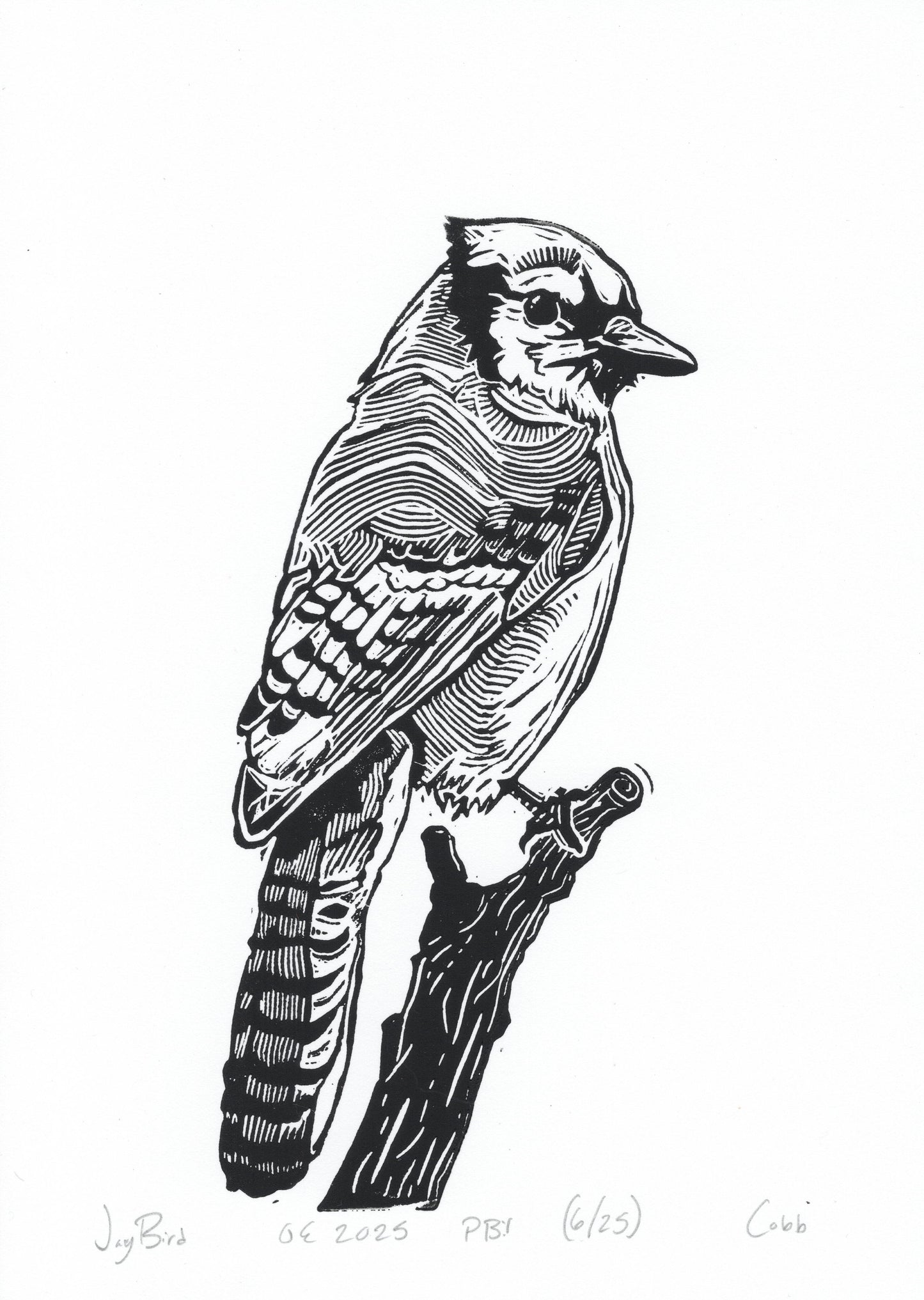 Jaybird Linoleum Print