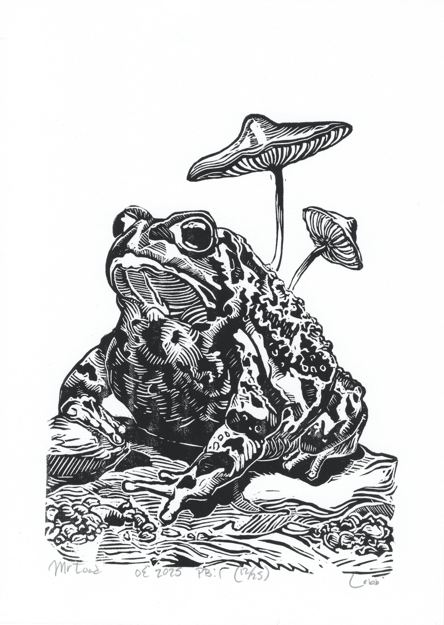 Mr. Toad Linoleum Print