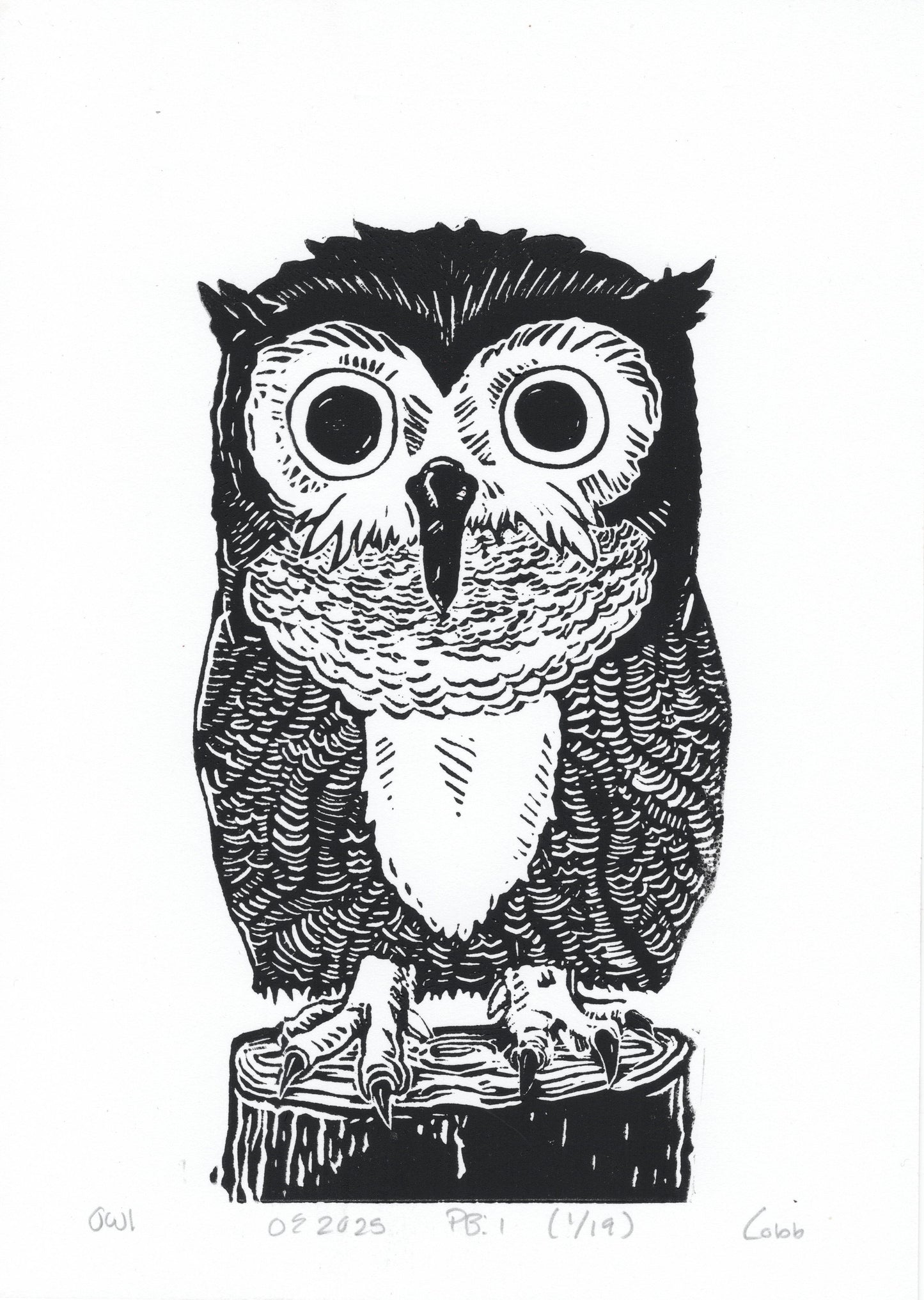 Owl Linoleum Print