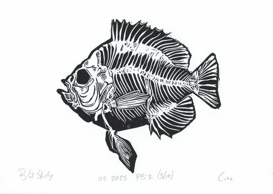 Blue Gill Skeleton Linoleum Print