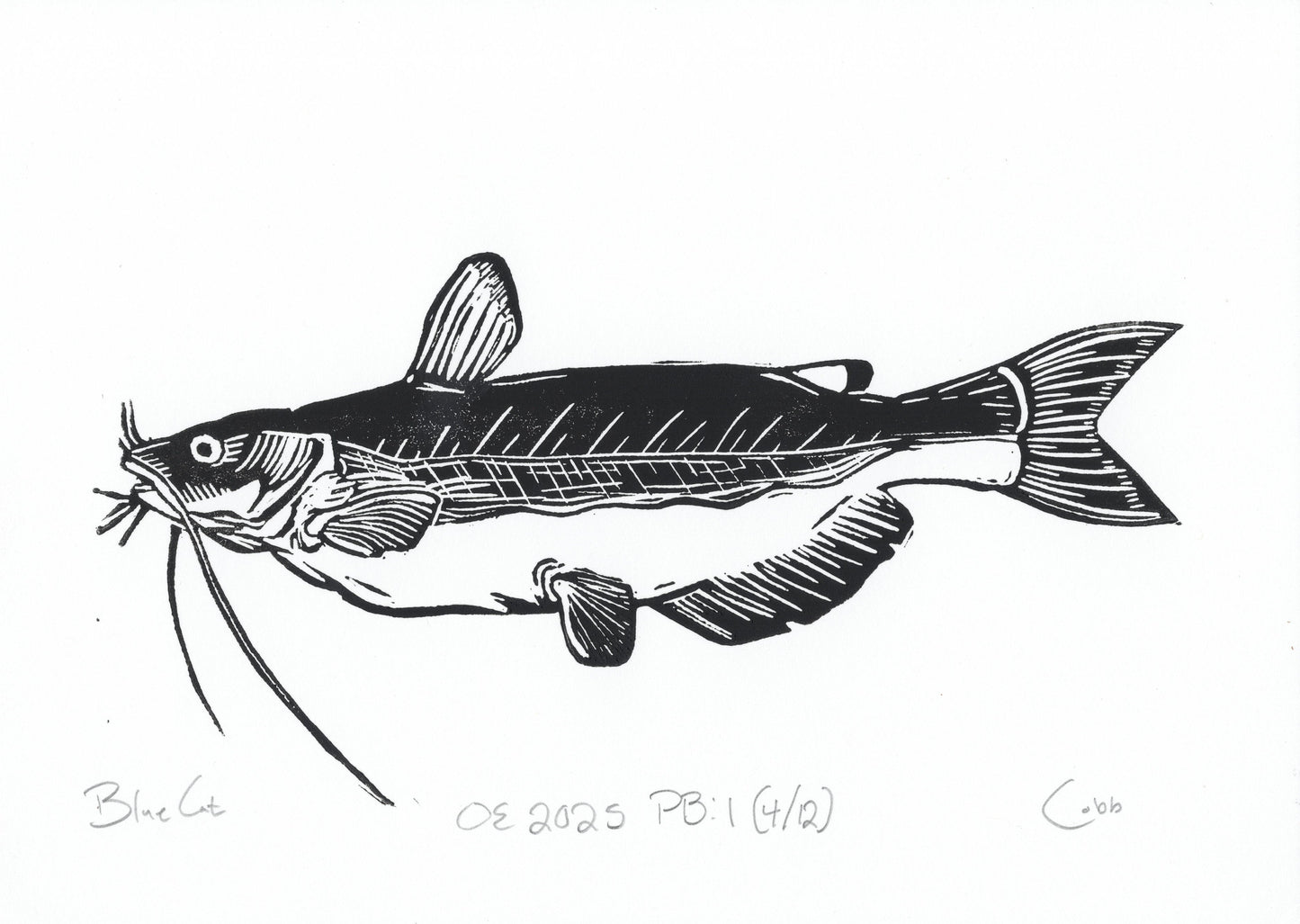 Blue Catfish Linoleum Print