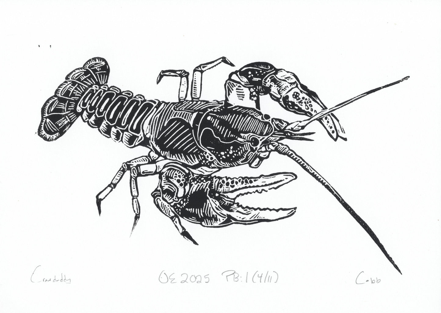 Crawdaddy Linoleum Print