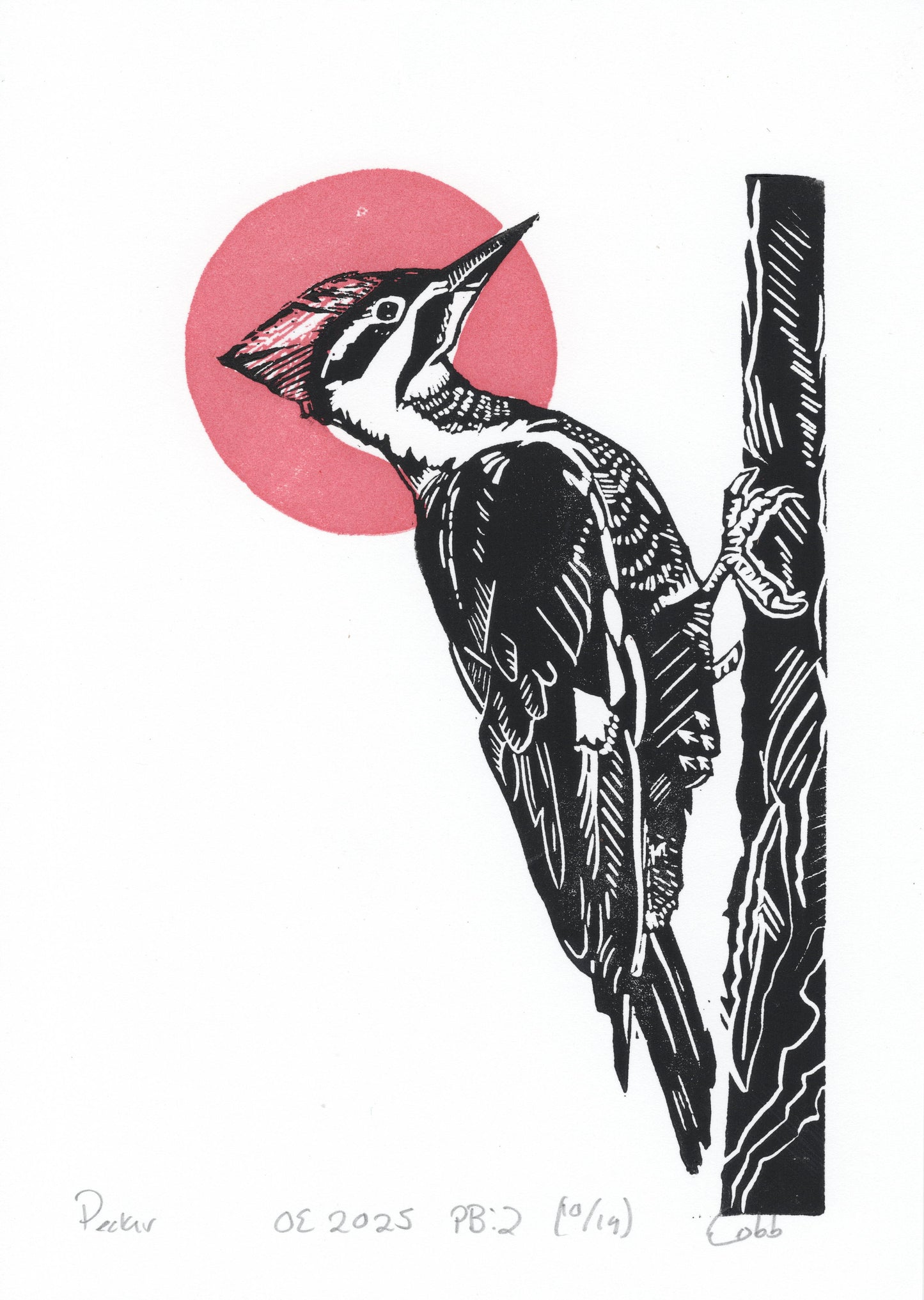 Pecker Linoleum Print