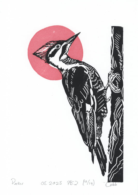Pecker Linoleum Print