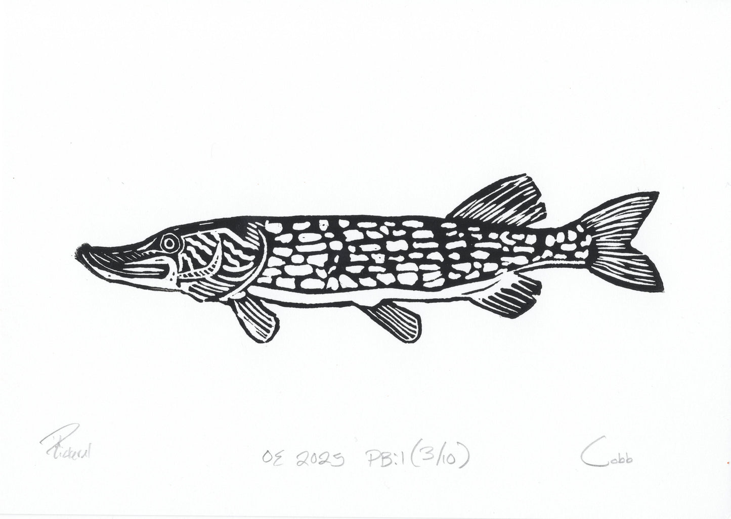 Pickerel Linoleum Print