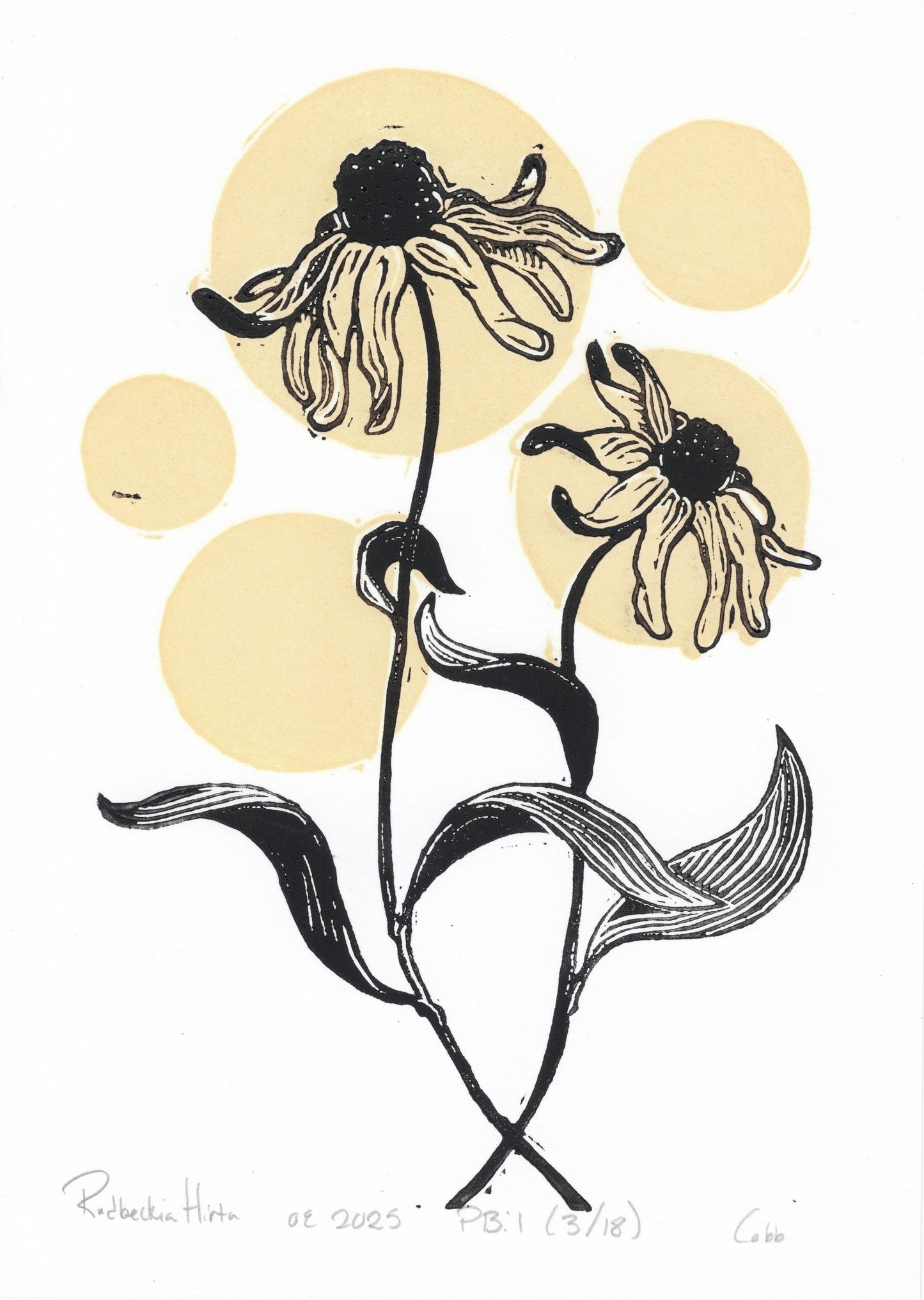 Rudbeckia Linoleum Print