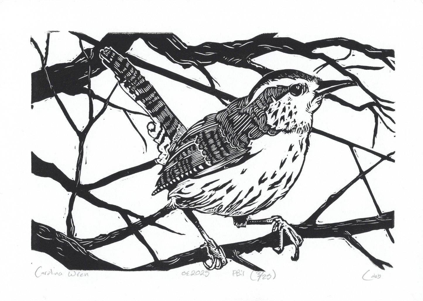 Wren Linoleum Print