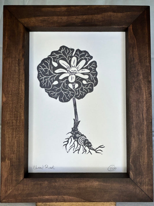 Bloodroot in Bloom Linoleum Print